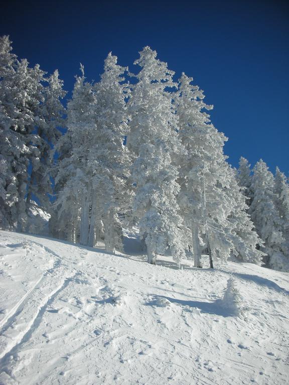 Haus Magdalena Hotell Dorfgastein Exteriör bild